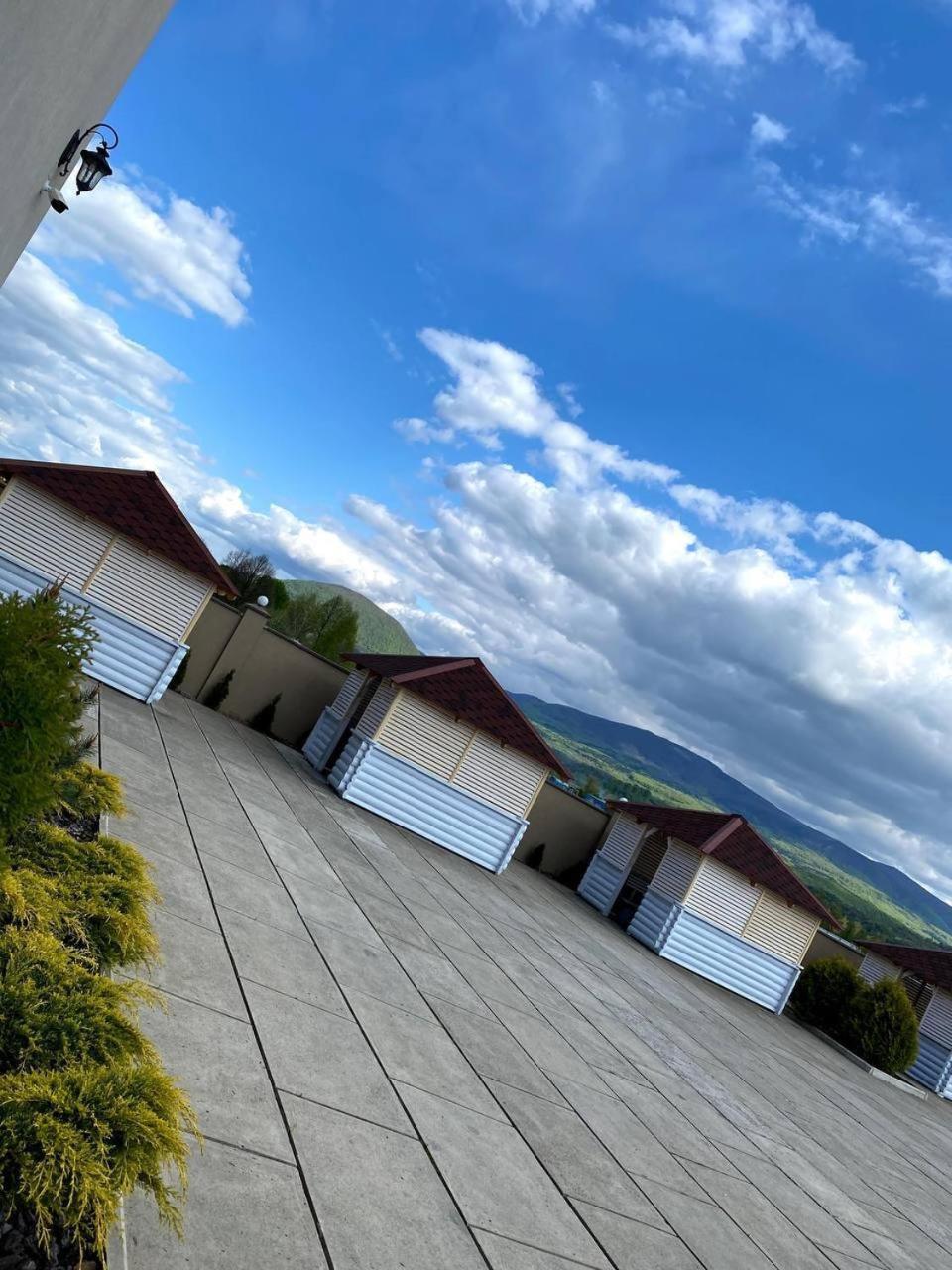 Hotel New Continent Bushtyno Zewnętrze zdjęcie
